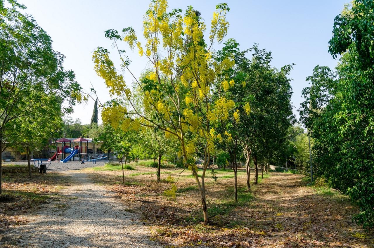 Bait Alfa Kibbutz Country Lodging Bet Alfa Buitenkant foto
